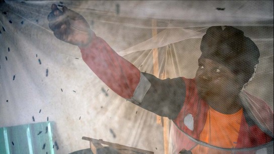 Francine kollar att flugorna i insektsodlingen är under kontroll.